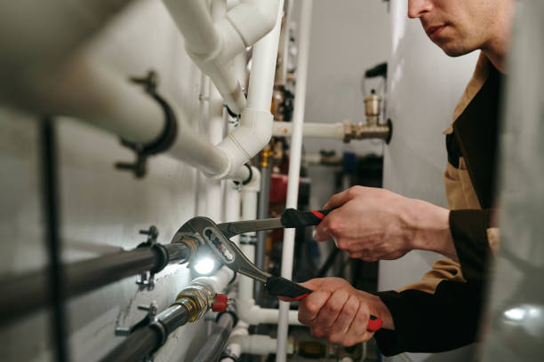 Best Plumbing Inspection Services  in Hammonton, NJ