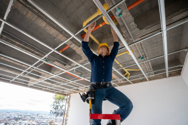 Best Plumbing Inspection Services  in Hammonton, NJ