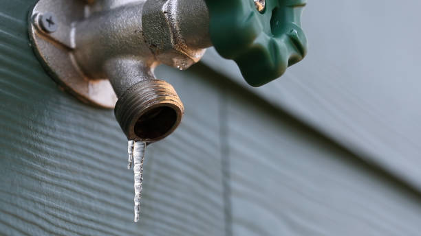 Best Drain Cleaning Services  in Hammonton, NJ